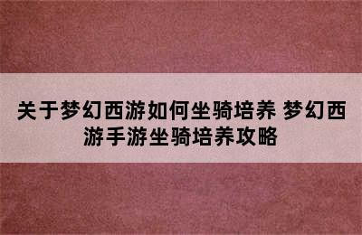 关于梦幻西游如何坐骑培养 梦幻西游手游坐骑培养攻略